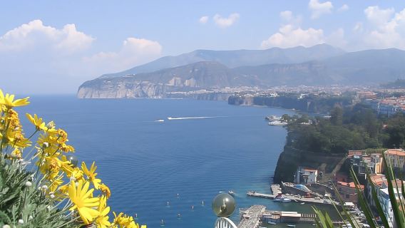 Da Napoli: tour di un giorno a Pompei e Sorrento
