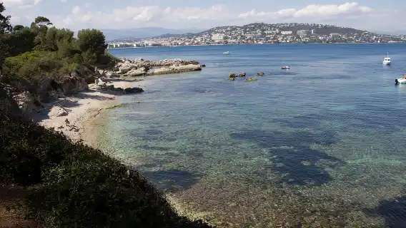 From Cannes: Ferry Tickets to Sainte-Marguerite Island
