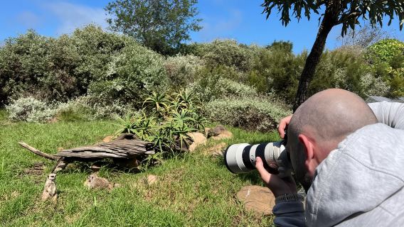 Guided Wildlife Tour and Forest Walk with Lunch Platter