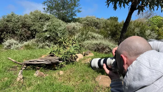 Tour guidato della fauna selvatica e passeggiata nella foresta con pranzo al sacco