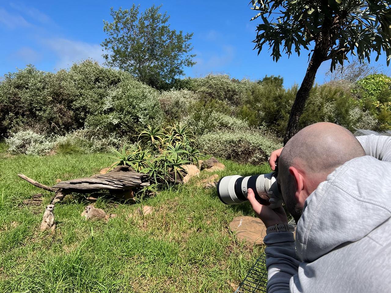Guided Wildlife Tour and Forest Walk with Lunch Platter
