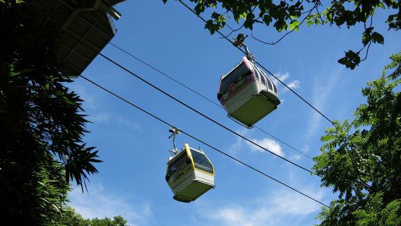 Taipei: Maokong Cable Car 1 day Pass