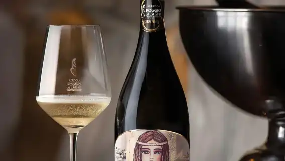 Monteriggio: Poggio ai Laghi Winery Lunch with Wine Tasting