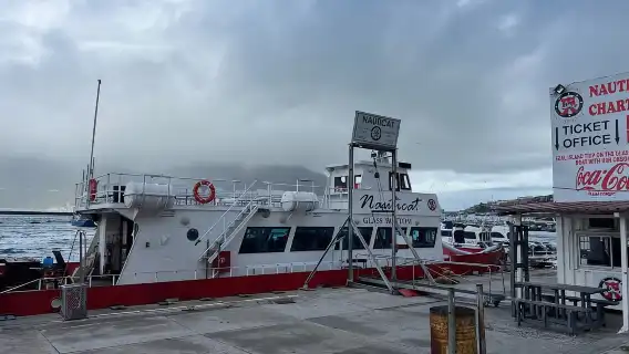 Botanical Garden and Groot Constantia Wineries Private Tour