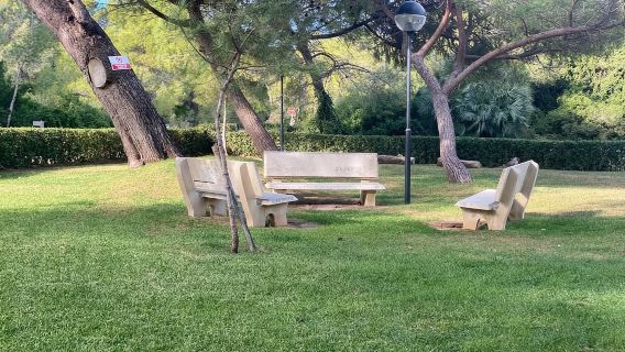 Valencia: Lawatan E-Bike Panduan Sendiri Tasik Albufera