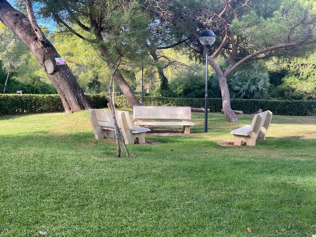 Valence : visite autoguidée en vélo électrique du lac d'Albufera