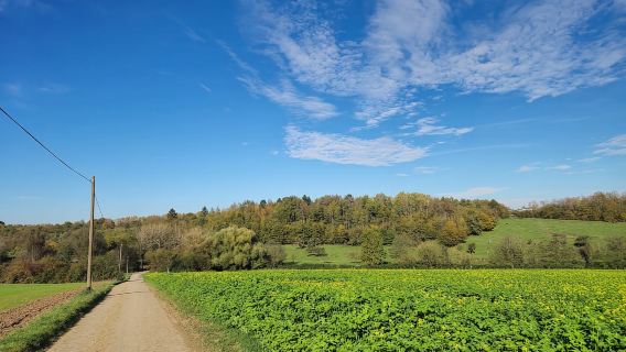 Stuttgart : Boßeltour avec guide