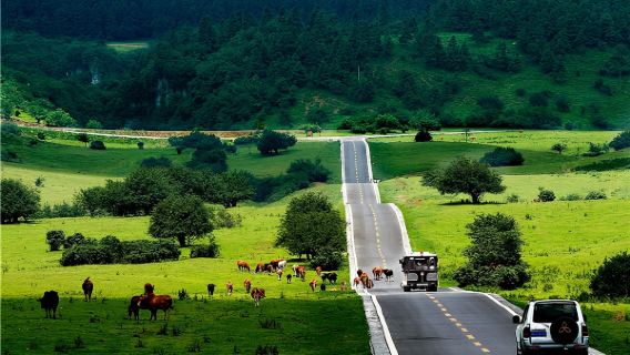 Grup 2-8 Orang dengan Mobil Nyaman ● Perjalanan Satu Hari Chongqing Wulong ● Jembatan Tiga Alami + Gunung Xiannü + Galeri Sungai Wu
