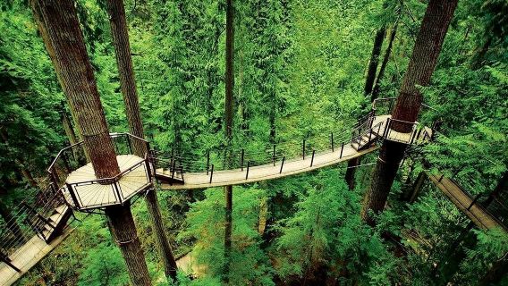 Vancouver Capilano Suspension Bridge and Grouse Mountain English Tour