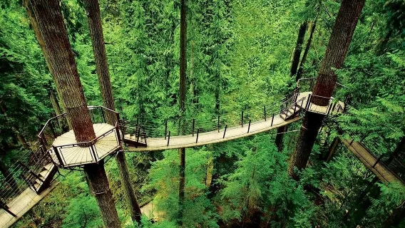 Pont suspendu de Capilano et mont Grouse à Vancouver, Canada [Visite guidée en anglais]