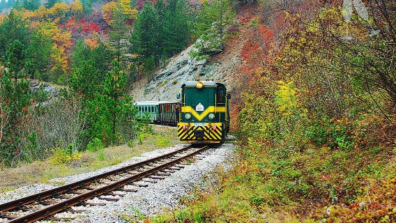 薩拉熱窩+維舍格勒+木頭村歷史與自然之旅