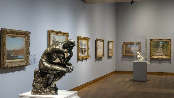 Montreal Museum of Fine Arts + Chinatown + Botanical Garden + Old Port Clock Tower