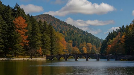 【重慶】長江遊覧船(重慶—上海+5つ星遊覧船で長江三峡を巡る+ガイド付き解説+三峡ダム+国家一級博物館+豊都鬼城)