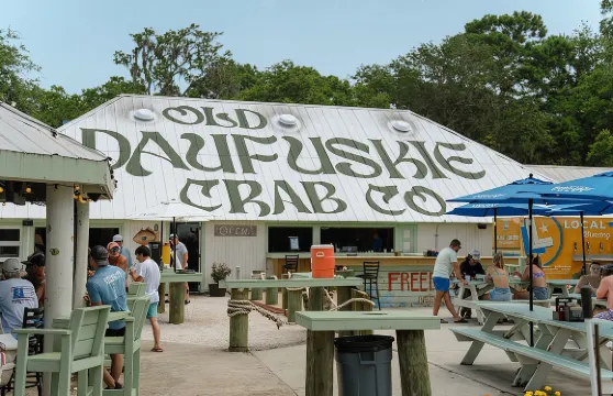 道夫斯基島每日來回渡輪票