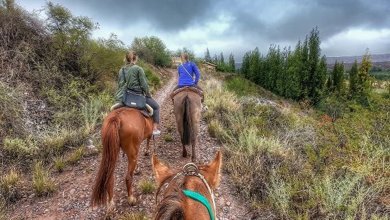 Horseback ride through vineyards followed by gourmet lunch