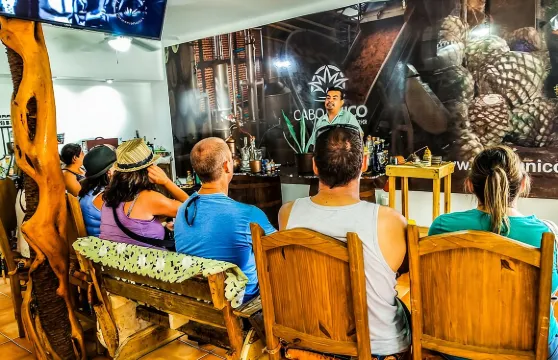 卡波聖盧卡斯龍舌蘭酒品嚐體驗