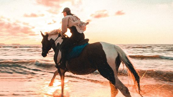 Lawatan setengah hari di Kelab Ekuestrian Antarabangsa Phuket - Menunggang kuda dan memberi makan kuda di Laguna, pengalaman matahari terbenam di pantai untuk pemula