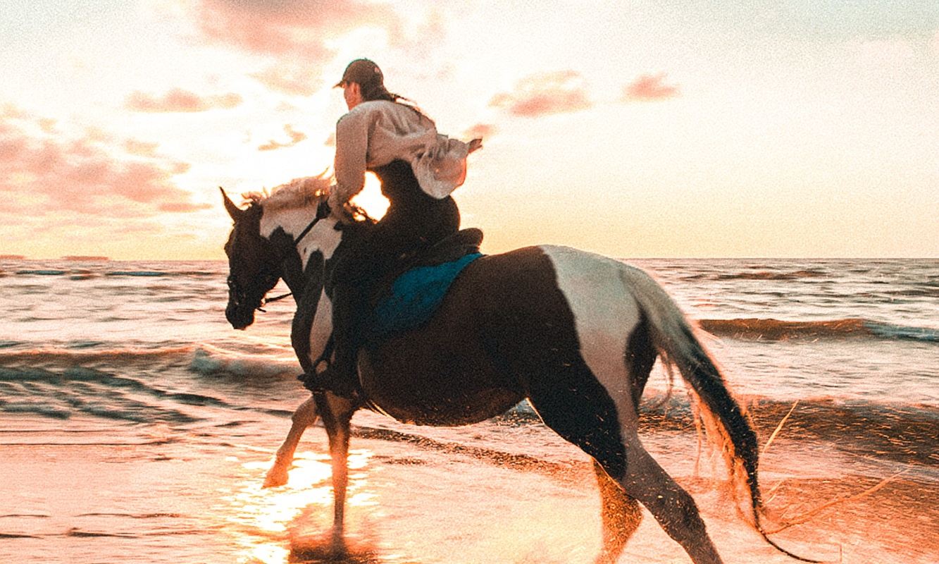 Tour giornaliero al Phuket International Equestrian Club: cavalcare e nutrire i cavalli a Laguna, tramonto in spiaggia ed esperienza per principianti