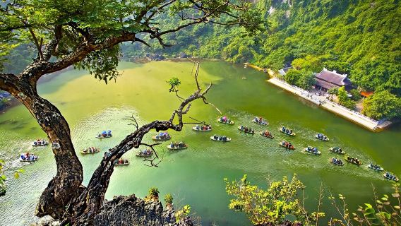 ( High Demand ) Trang An Natural Heritage - Bai Dinh Pagoda - Mua Cave Day Tour with Buffet Lunch