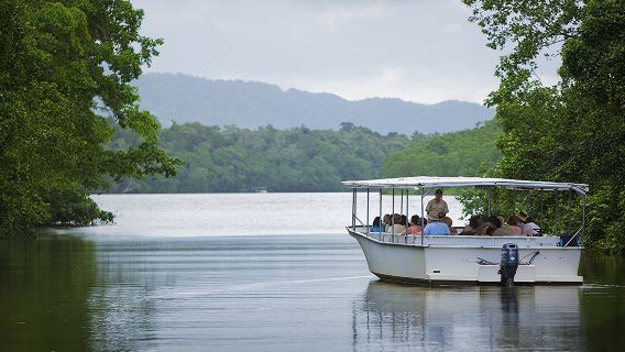 Australia Daintree Rainforest + Port Douglas Wildlife Sanctuary + Mossman Gorge one-day tour