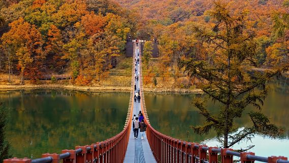 Экскурсия по DMZ: Сеул, третий туннель Северной Кореи и переправа через озеро Маджанг