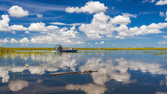 Everglades National Park full-day tour with round-trip transfer