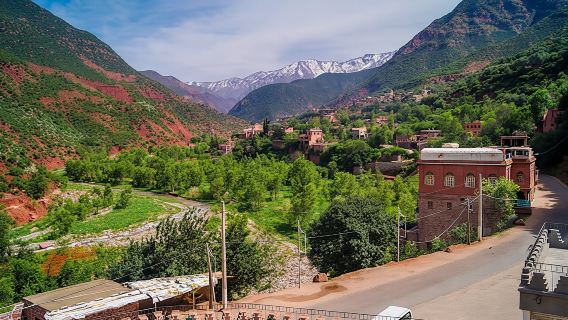 Chuyến tham quan nửa ngày đến thung lũng Ourika từ Marrakech