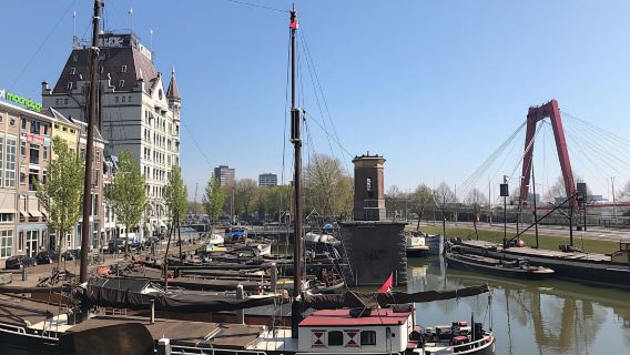Private Rotterdam walking tour from past to present with the Depot