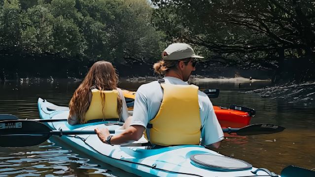 3-hour kayaking of Garden Island [Australian Dolphin Reserve + Mangrove kayaking Tour + 3 hours]
