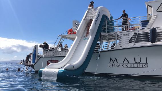 Small Group Coral Gardens Snorkel & Waterslide Adventure