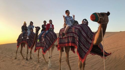 Red Sand Dune Bashing , BBQ Dinner Buffet & Live Shows 9