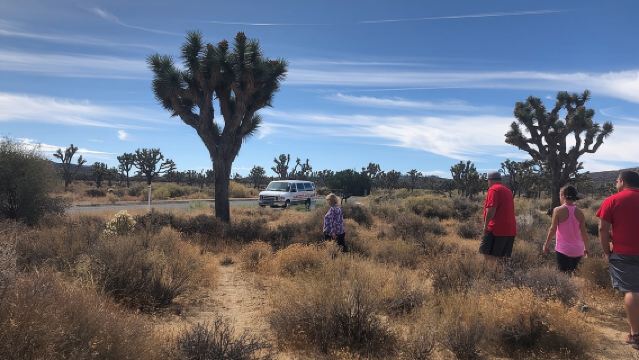 Rit door Joshua Tree National Park