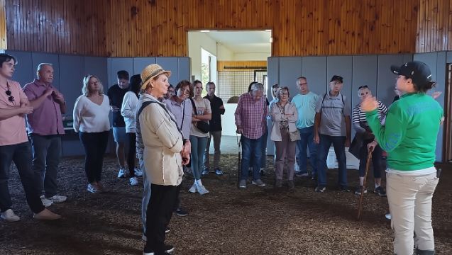 Halbtägige Tour durch die Pferdefarmen für Vollblüter in Kentucky