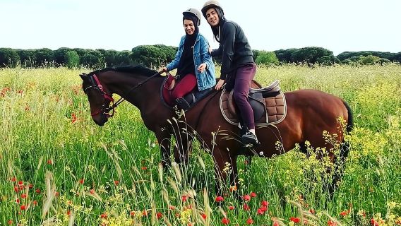 Suaka Kuda & Perjalanan Lintas Alam di Ostia Antica