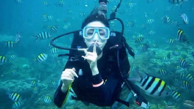 海南分界洲島 可愛貓貓號粉紅網紅船 可浮潛/深潛教練一對一 送照片影片 0基礎可玩 多種海上項目