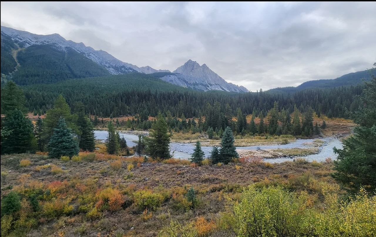Excursión de un día de ida y vuelta desde Calgary a Banff por el Cañón Johnston