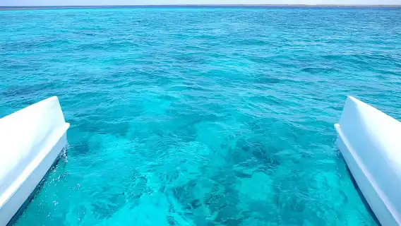 Saona Island Tour From Punta Cana