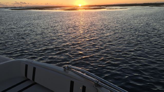 Sunset Boat Trip of Ria Formosa: an Eco-friendly Tour out from Faro