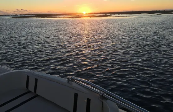 里亞福莫薩日落船遊：從法魯出發的環保之旅