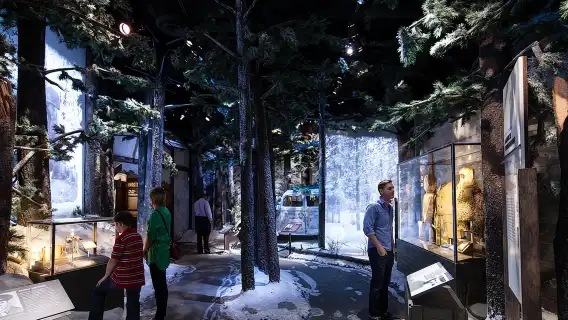 The National WWII Museum Admission Ticket New Orleans