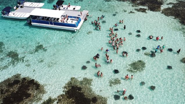Stingray City Antigua per tutte le età - TRASPORTO DI ANDATA E RITORNO INCLUSO