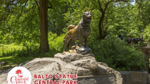 New York: 2-stündige VIP-Deluxe-Pedicab-Tour durch den Central Park