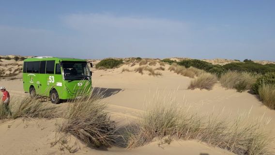 Recorrido todoterreno por el Parque Nacional de Doñana desde Sevilla