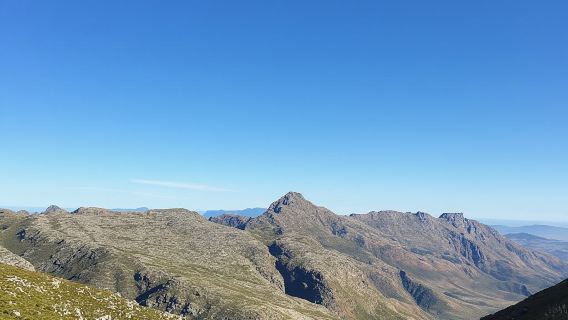 Riserva naturale di Jonkershoek: escursione guidata sul sentiero panoramico