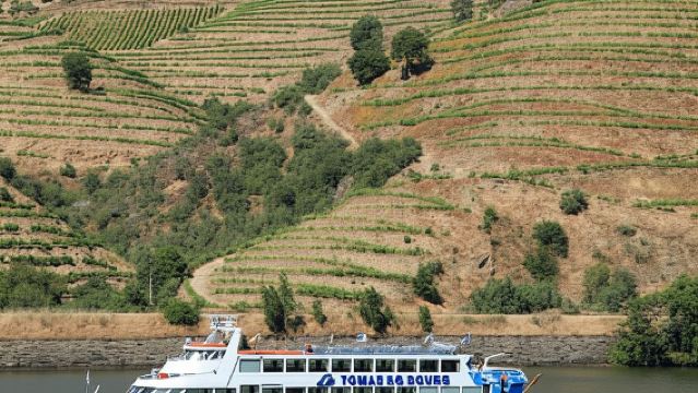 Porto/Regua/Porto (and reverse): Douro River Cruise + Lunch