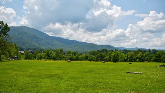 Пиджен-Фордж: тур по бухте Кейдс в розовом панорамном фургоне