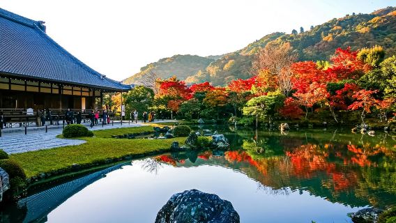 From Nagoya: Kyoto Day Tour with Kobe Beef Shabu-Shabu Lunch