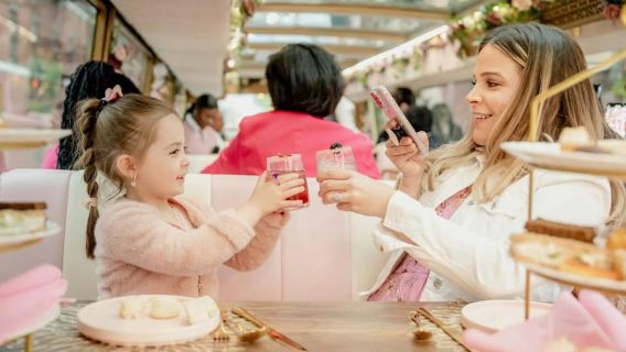 Washington, D.C.: Tea Around Town Bus Tour with Landmarks