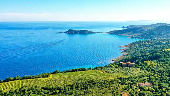Ramatuelle: Tracks & Tasting Winery Tour by Mountain E-Bike
