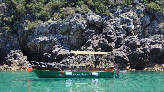 From Terracina: Circeo Caves Boat Trip with Snorkeling